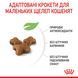 Royal Canin Kitten сухой корм для котят 400 гр 3182550702379 фото 15