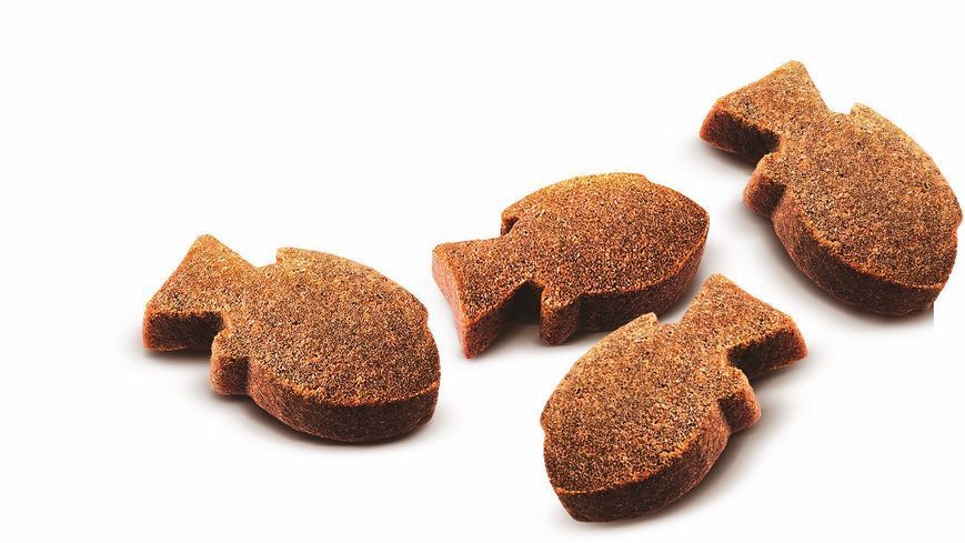 Carnilove Dog Soft Snack ласощі для собак з коропом і чебрецем, 200 гр 229 грн фото