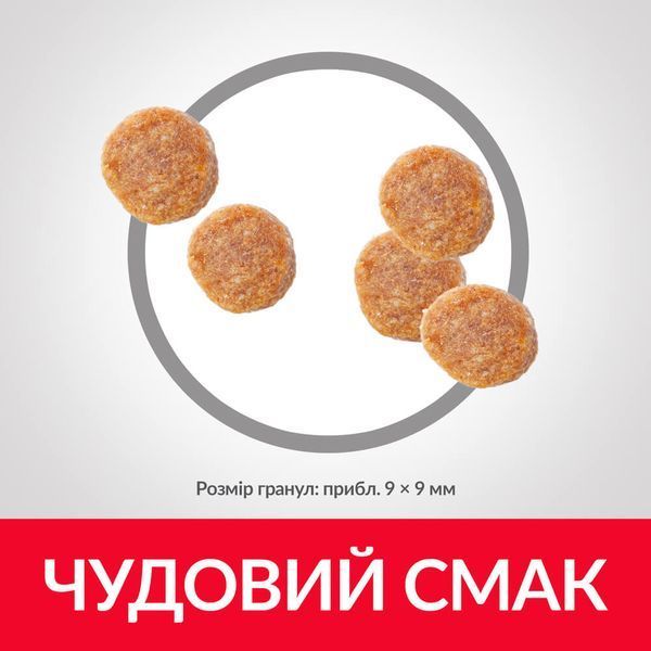 Hill's SP Feline Adult Lamb & Rice сухий корм з ягнятком та рисом для котів 10 кг 4 553 грн фото