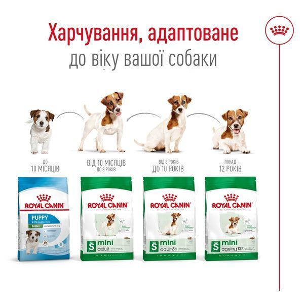 Royal Canin Mini Adult 8+ сухой корм для стареющих собак мелких пород 0.8 кг 390 грн фото