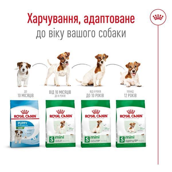 Royal Canin Mini Adult 8+ сухой корм для стареющих собак мелких пород 0.8 кг 390 грн фото