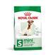 Royal Canin Mini Adult 8+ сухой корм для стареющих собак мелких пород 0.8 кг 3182550831413 фото 1