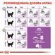 Royal Canin Sterilised сухой корм для стерилизованных котов 4 кг 3182550737616 фото 5