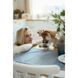 Savory Dog Immunity Support Soft Snack ласощі для собак з качкою, 200 гр 4820232631331 фото 5