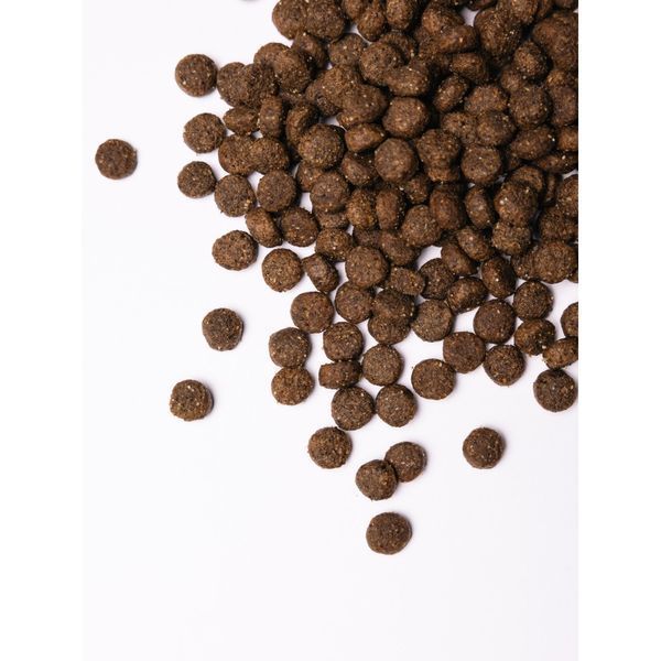 Savory Medium Breed rich in Fresh Turkey & Lamb сухой корм с индейкой и ягненком для собак средних пород, 1 кг 497 грн фото