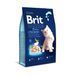 Brit Premium Kitten сухий корм з куркою для кошенят, 8 кг 8595602553198 фото 1