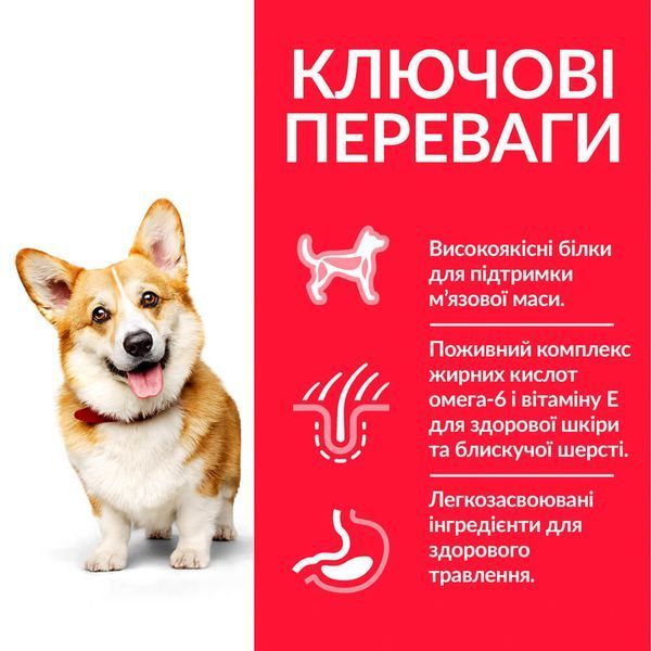 Hill's SP Canine Adult Small & Miniature Chicken сухой корм с курицей для собак малых пород 6 кг 2 572 грн фото