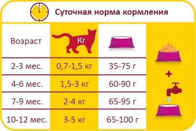 Lara Junior сухий корм для кошенят з куркою 2 кг 654 грн фото