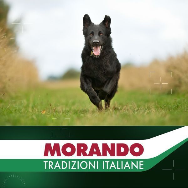 Morando Tradizioni Maxi сухой корм с говядиной для собак крупных пород, 12 кг 2 304 грн фото