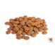 BonaCibo Cat Adult Light & Sterilized сухий корм з куркою для стерилізованих котів, 15 кг 8694686406977 фото 5