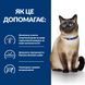 Hills PD Feline Z/D сухий корм для котів при харчовій нестерпності 3 кг