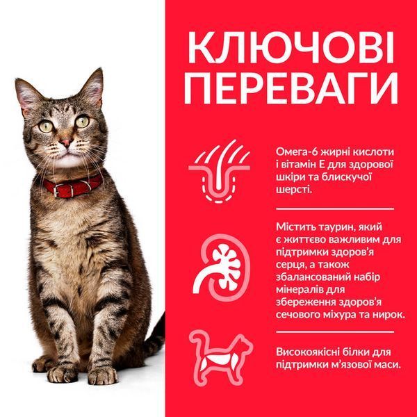 Hill's SP Feline Adult Chicken сухой корм с курицей для котов 3 кг
