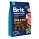 Brit Premium Sensitive Lamb & Rice сухий корм для собак, 3 кг 8595602526628 фото 1
