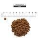 Schesir Cat Sterilized & Light сухой корм с курицей для стерилизованных котов, 1.5 кг 8005852760562 фото 4