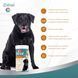 8in1 Excel Multi Vitamin Senior витамины для здоровья стареющих собак, 70 табл 4048422183907 фото 4