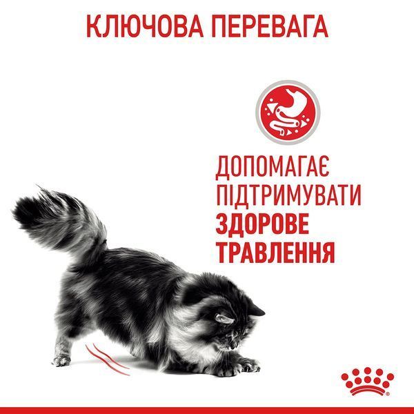 Royal Canin Digest Care вологий корм для котів з чутливим травленням 85 гр 64 грн фото
