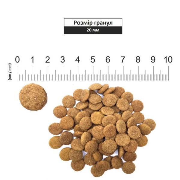 Schesir Dog Large Adult Lamb сухий корм з ягнятком для собак великих порід, 12 кг