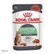 Royal Canin Digest Care вологий корм для котів з чутливим травленням 85 гр 9003579309537 фото 1