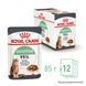 Royal Canin Digest Care вологий корм для котів з чутливим травленням 85 гр 9003579309537 фото 6