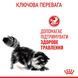 Royal Canin Digest Care вологий корм для котів з чутливим травленням 85 гр 9003579309537 фото 7