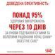 Royal Canin Digest Care вологий корм для котів з чутливим травленням 85 гр 9003579309537 фото 8