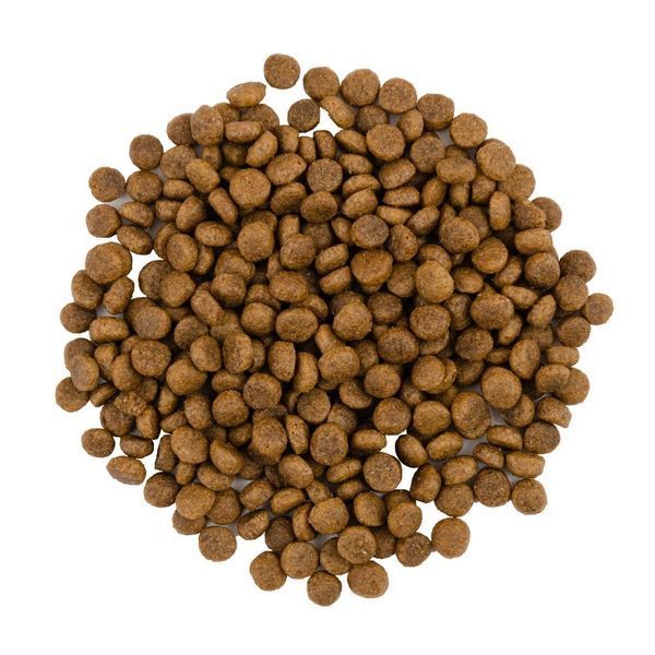 Savory Adult Cat Gourmand Fresh Turkey & Duck з індичкою та качкою для котів, 8 кг 4 827 грн фото