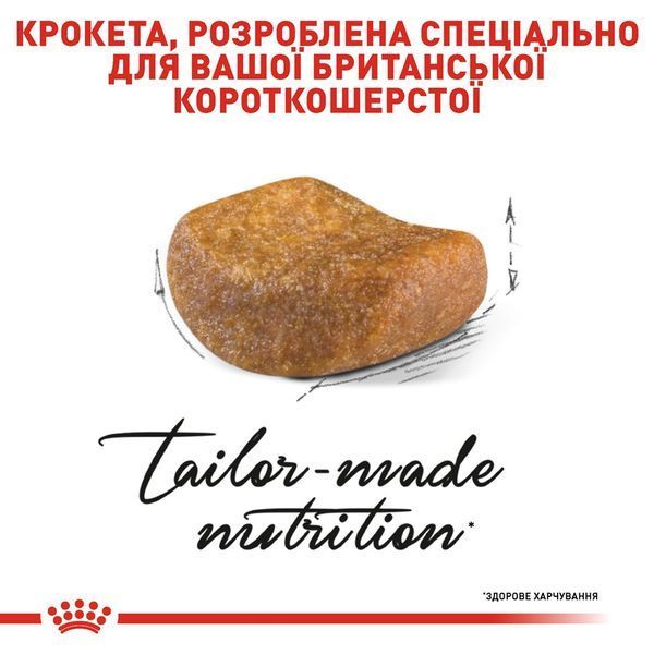 Royal Canin British Shorthair сухой корм для котов породы британец 400 гр 275 грн фото
