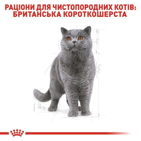 Royal Canin British Shorthair сухой корм для котов породы британец 400 гр 275 грн фото