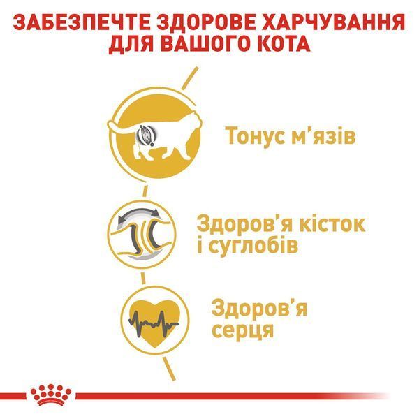 Royal Canin British Shorthair сухой корм для котов породы британец 400 гр 275 грн фото