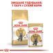 Royal Canin British Shorthair сухой корм для котов породы британец 400 гр 3182550756402 фото 6