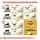 Royal Canin British Shorthair сухой корм для котов породы британец 400 гр 3182550756402 фото 7
