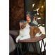 Savory Adult Cat Sensitive Digestion Fresh Lamb & Turkey сухий корм з ягнятиною та індичкою для котів з чутливим травленням, 2 кг 4820232630082 фото 5