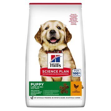 Hill's SP Puppy Large Breed Chicken сухий корм з куркою для щенят великих та гігантських порід 14.5 кг 5 181 грн фото