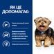 Hill's PD Canine L/D сухой корм для собак с заболеваниями печени 10 кг 052742042459 фото 2