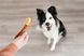 Whimzees Toothbrush L ласощі для чищення зубів у собак великих порід, 6 шт