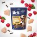 Brit Premium Semi-Moist Snacks Chicken With Raspberry лакомство для собак с курицей, 180 гр 8595602573912 фото 2