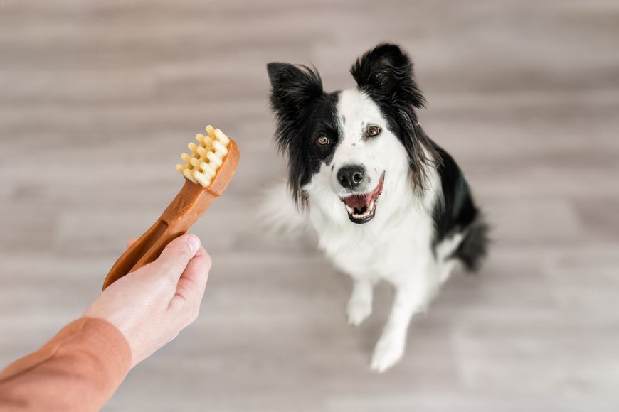 Whimzees Toothbrush L ласощі для чищення зубів у собак великих порід, 6 шт