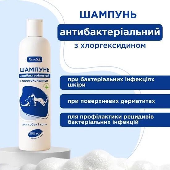 Modes шампунь антибактериальный с хлоргексидином для собак и котов, 250 мл 117 грн фото