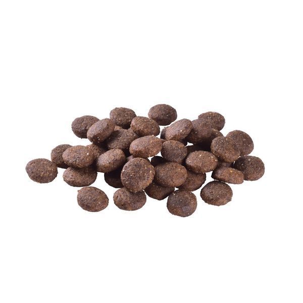 Brit Care GF Junior Large Breed Salmon сухий корм для цуценят великих порід з лососем, 1 кг