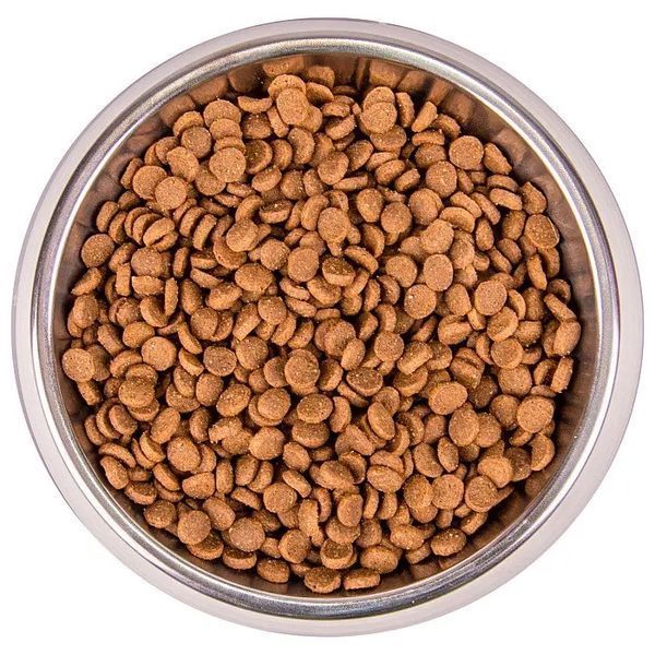 Monge Kitten Trota сухий корм з фореллю для кошенят, 10 кг 3 905 грн фото