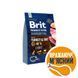 Brit Premium Light сухой корм с индейкой для собак с излишним весом, 3 кг 8595602526581 фото 3