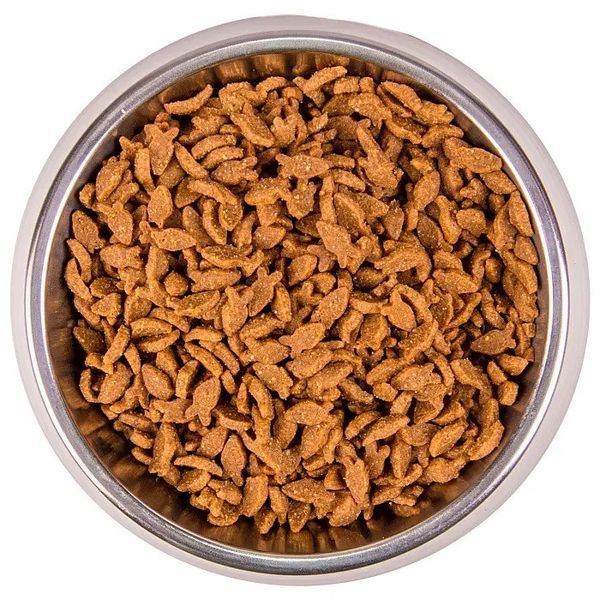 Monge Cat Adult Salmone сухий корм з лососем для котів, 1.5 кг 810 грн фото