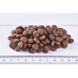 Brit Premium Cat Sterilized Salmon сухой корм с лососем для стерилизованных котов, 800 гр 8595602553099 фото 2